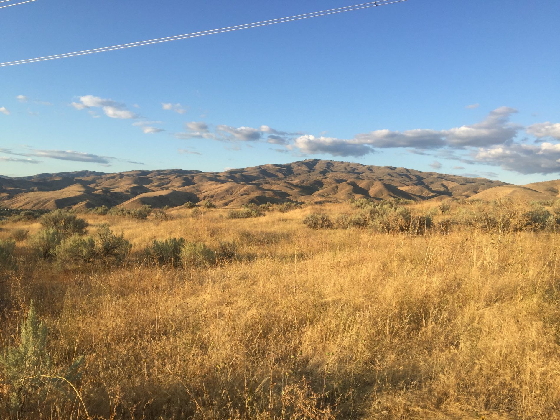 Oregon Trail: Length, Start, Deaths & Map